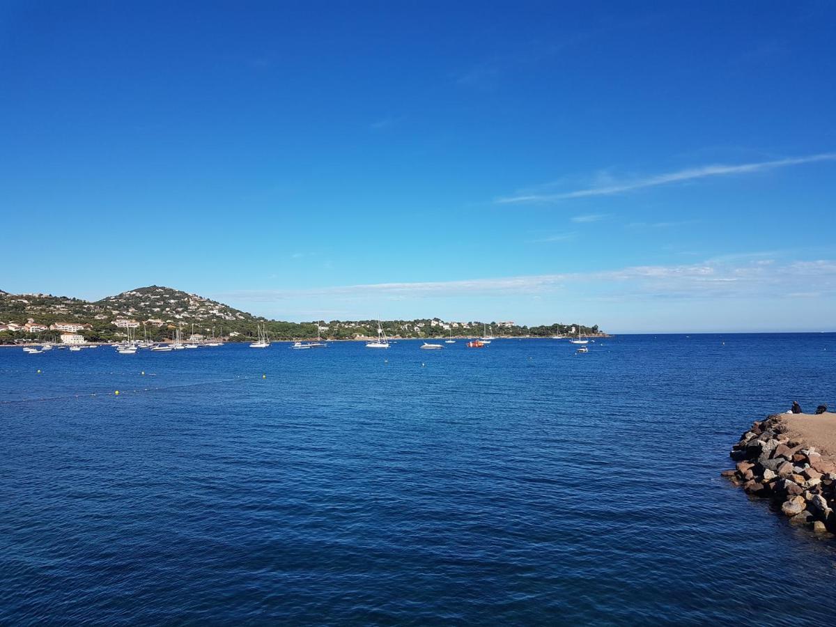 Grand T3 - Terrasse Les Pieds Dans L'Eau - Climatisation Saint-Raphael (Var) Exterior foto